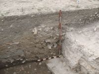 Chronicle of the Archaeological Excavations in Romania, 2009 Campaign. Report no. 27, Hârşova, La Cetate<br /><a href='http://foto.cimec.ro/cronica/2009/sistematice\027/19-HARSOVA-S-II-T-2-Zidul-de-est.jpg' target=_blank>Display the same picture in a new window</a>